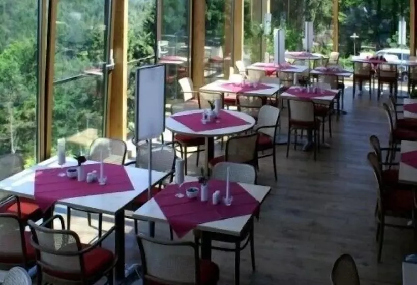 فندق Hubertusbaude