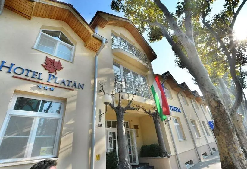 בית מלון כפרי Platan