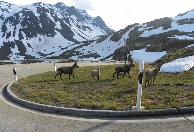 酒店 Restaurant Walliser Sonne