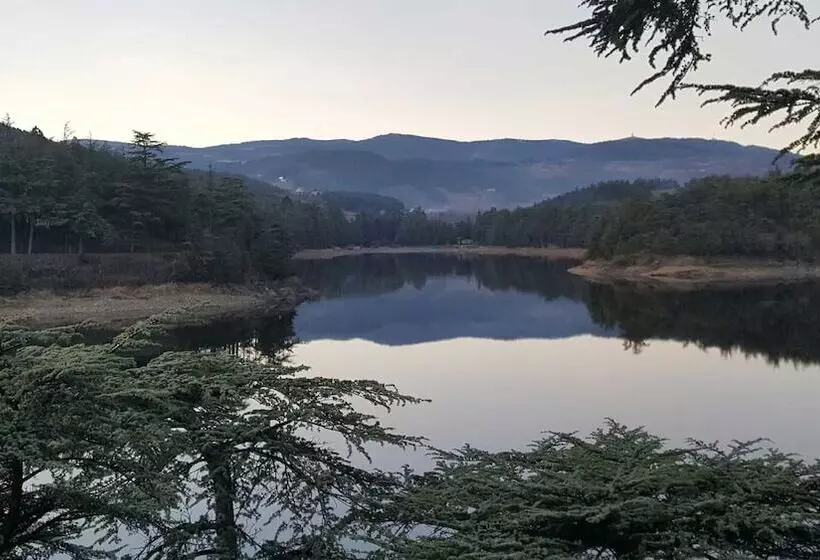 호텔 The Originals City, Hôtel La Siesta, Annonay Est