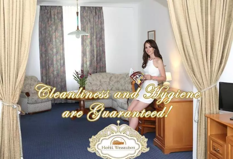 ホテル Wesselényi