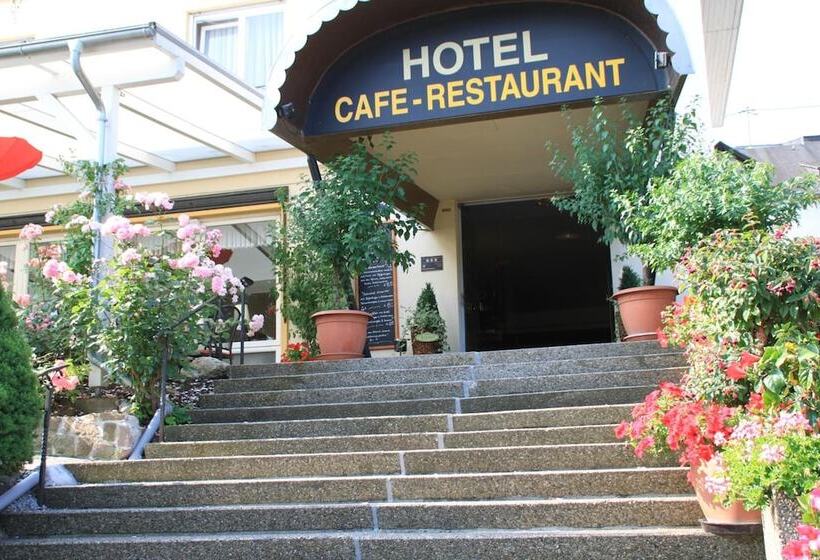 Park Hotel Traben Trarbach