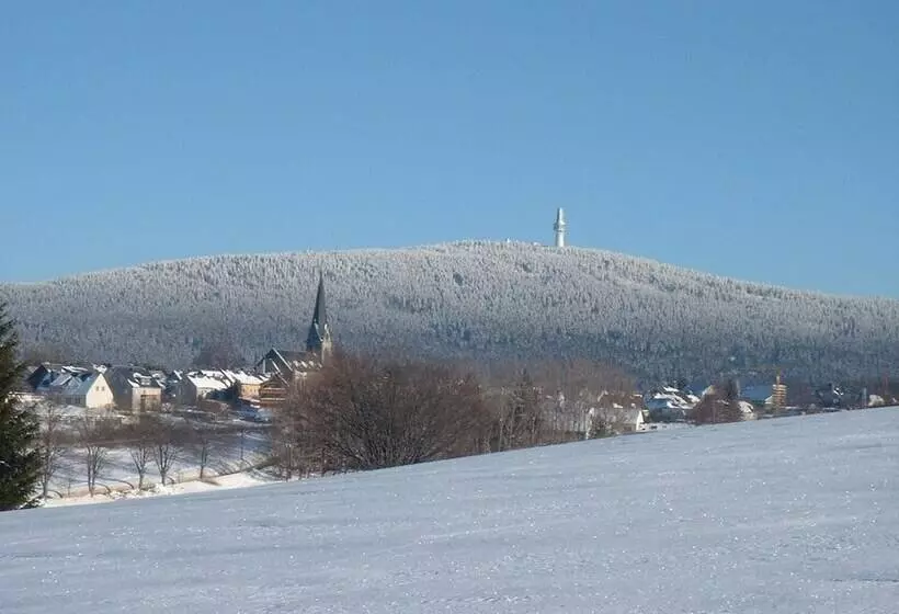 Пансион Gasthof Deutscher Adler Und Hotel Puchtler