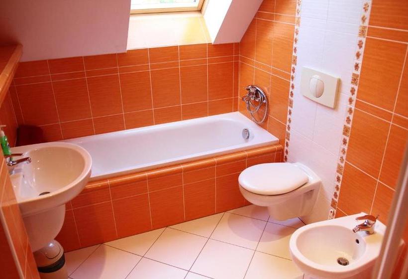 膳宿费 Schneeberg Apartmany