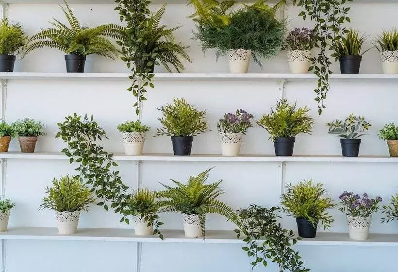 استراحتگاه Vrachia Beach Hotel & Suites   Adults Only