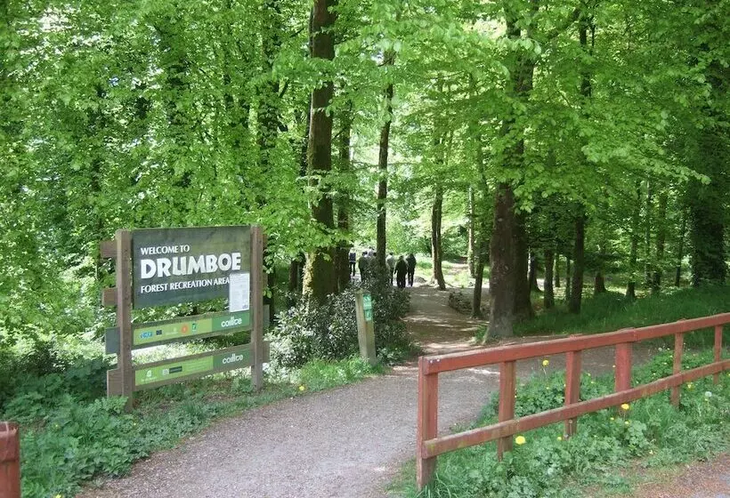 The Villa Rose Hotel & V Spa