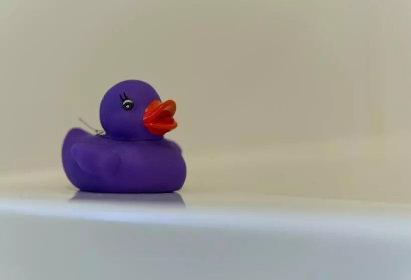 Boutique Hotel Swisshouse