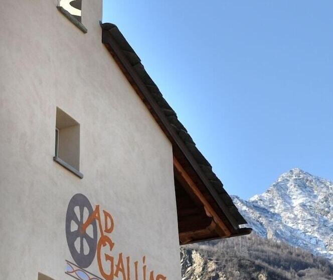 Отель Ad Gallias