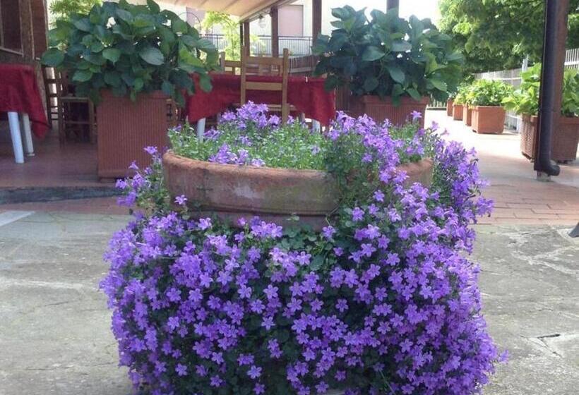 فندق Albergo Di Murlo