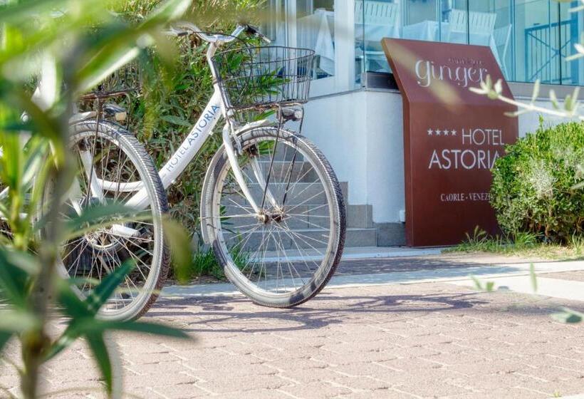 בית מלון כפרי Astoria