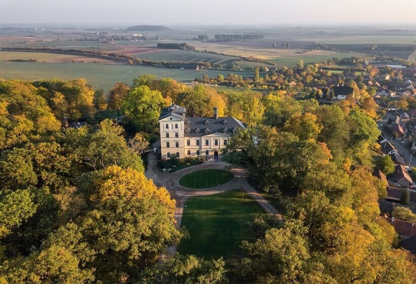 בית מלון כפרי Chateau Mcely