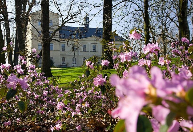 בית מלון כפרי Chateau Mcely