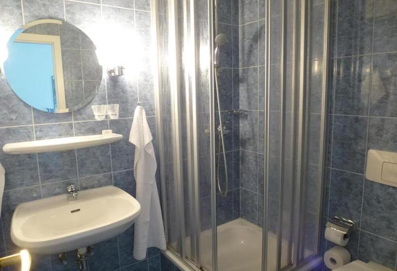 فندق Conrad Erzgebirge