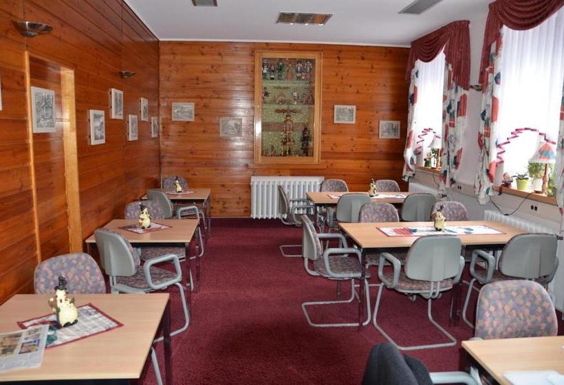 فندق Conrad Erzgebirge