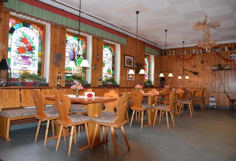 فندق Conrad Erzgebirge