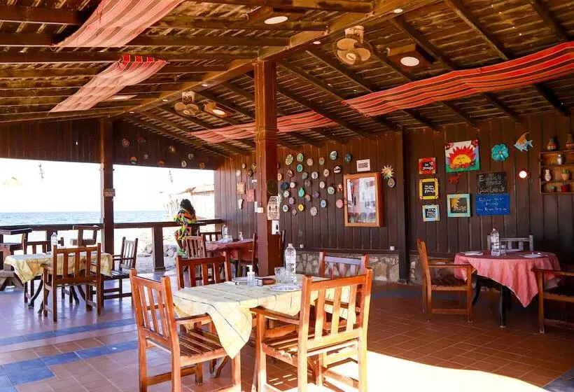 Hotel Habiba Beach Lodge