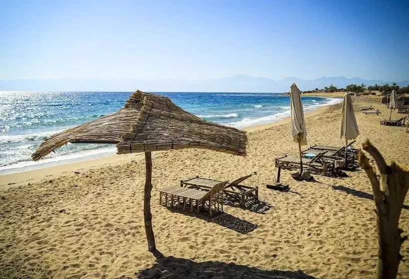 Hotel Habiba Beach Lodge