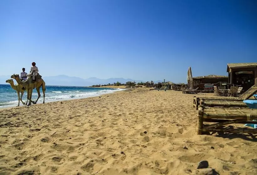 Hotel Habiba Beach Lodge