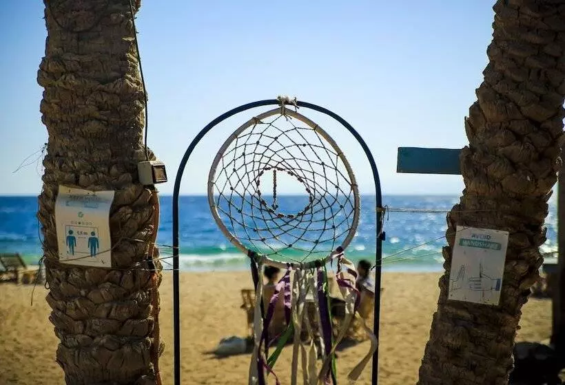 Hotel Habiba Beach Lodge