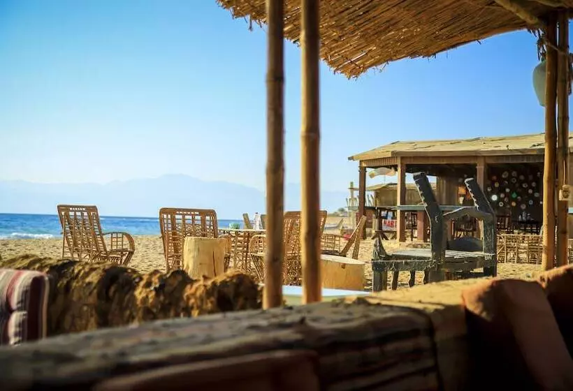 Hotel Habiba Beach Lodge