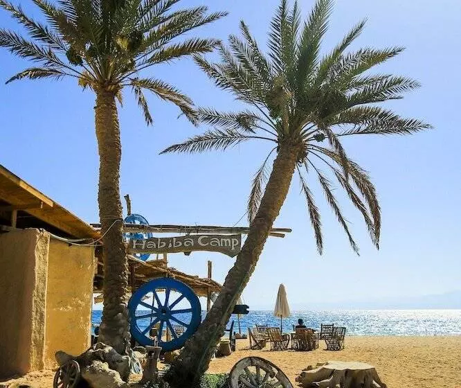 Hotel Habiba Beach Lodge