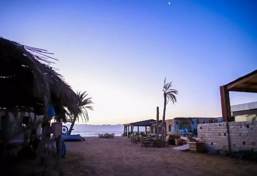 Hotel Habiba Beach Lodge