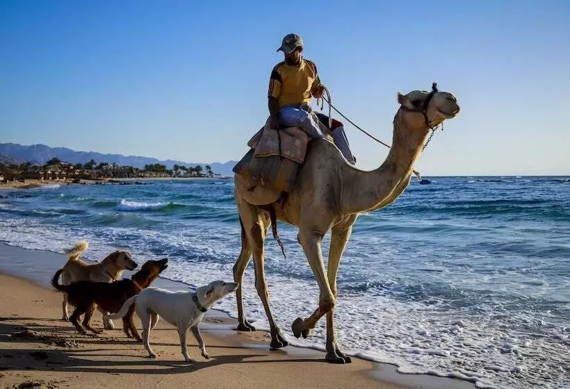 Hotel Habiba Beach Lodge