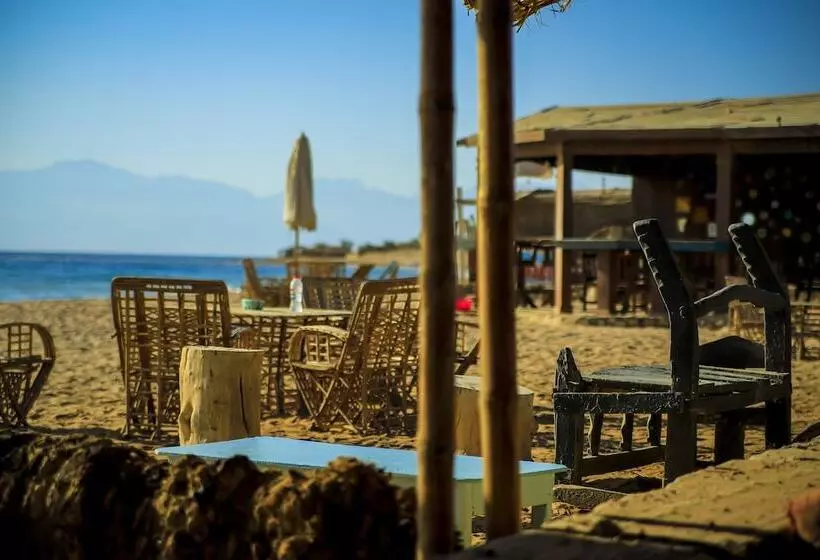 Hotel Habiba Beach Lodge