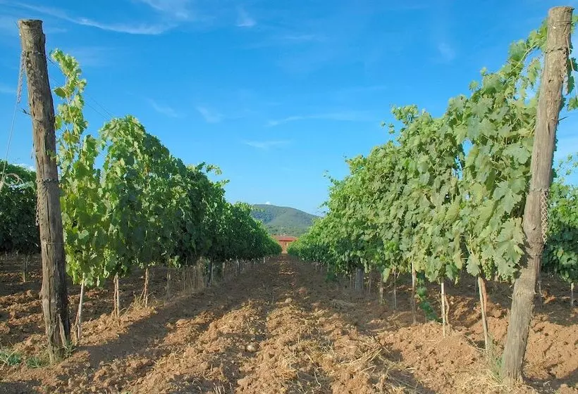ホテル Tenuta Agricola Dell Uccellina