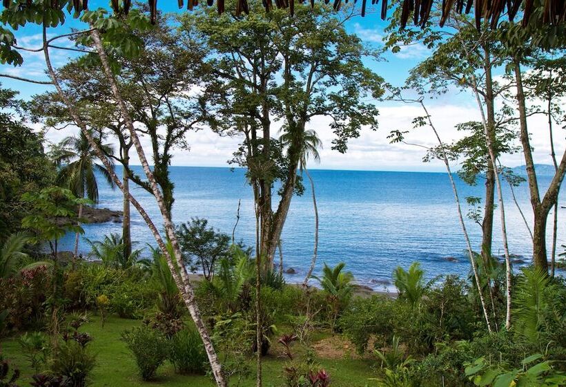 Copa De Arbol Beach & Rainforest Resort