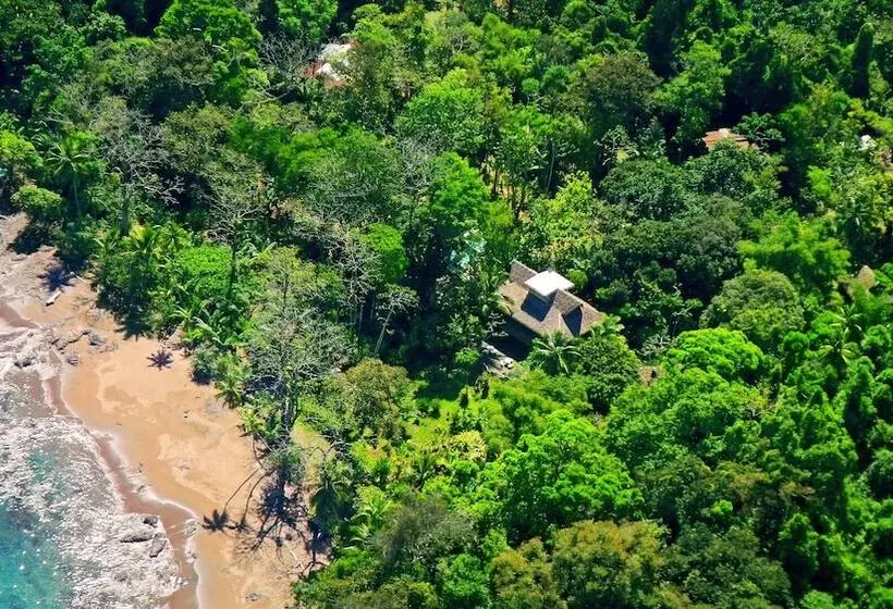 Copa De Arbol Beach & Rainforest Resort