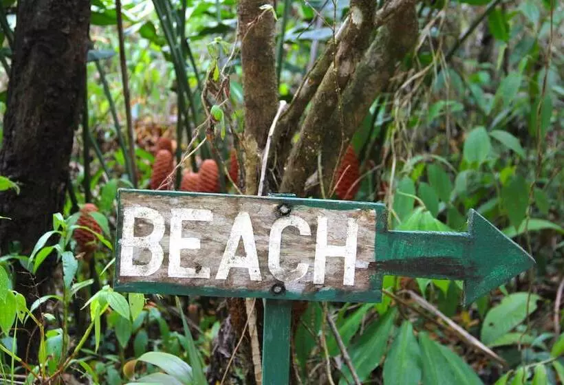 Copa De Arbol Beach & Rainforest Resort