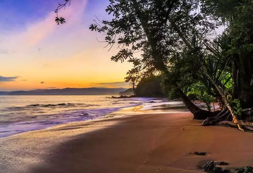 Copa De Arbol Beach & Rainforest Resort