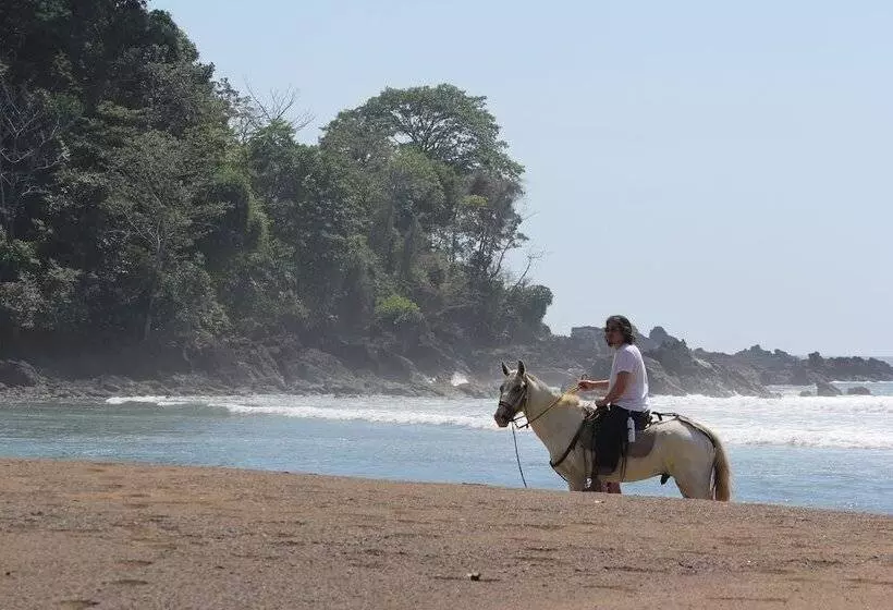Copa De Arbol Beach & Rainforest Resort