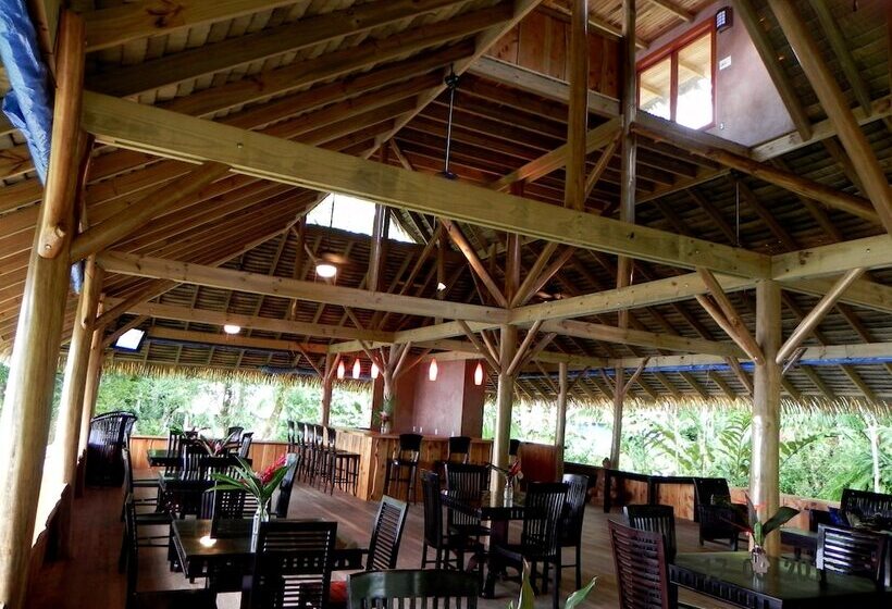 Copa De Arbol Beach & Rainforest Resort