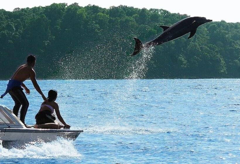 Copa De Arbol Beach & Rainforest Resort