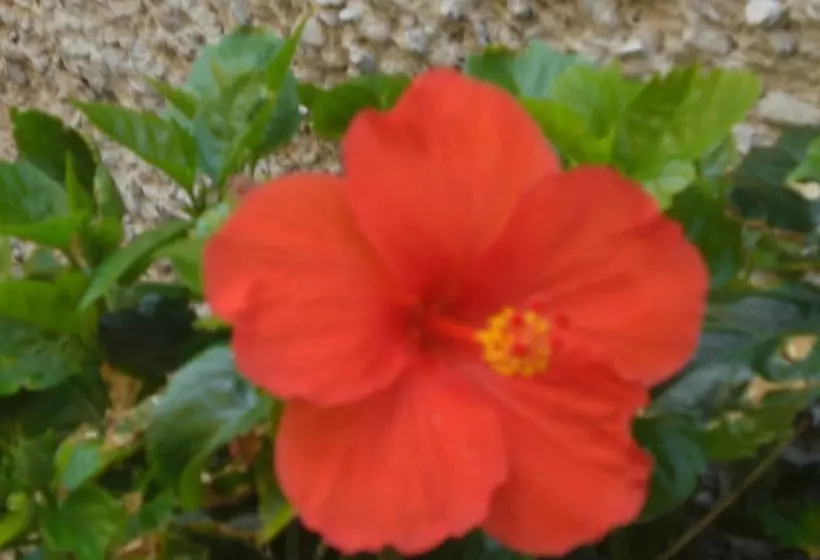 ホテル Panorama Agriturismo Il Girasole