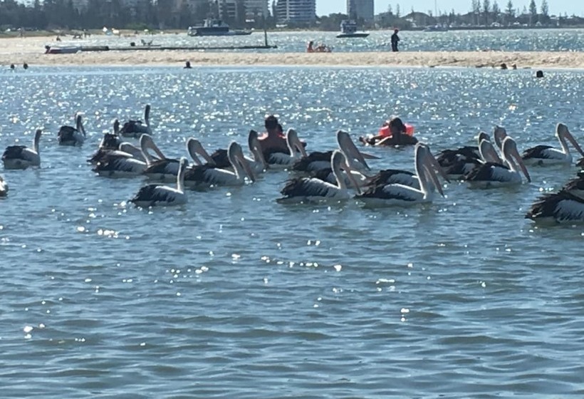 酒店 Blue Waters Apartments