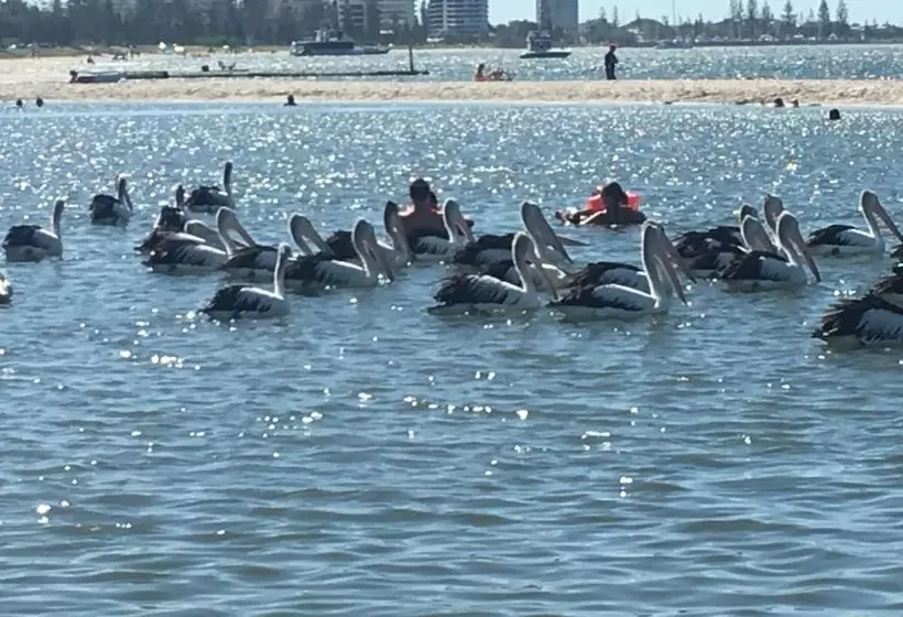 Отель Blue Waters Apartments