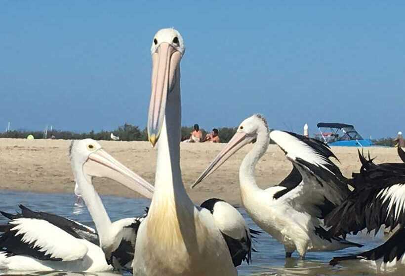 酒店 Blue Waters Apartments