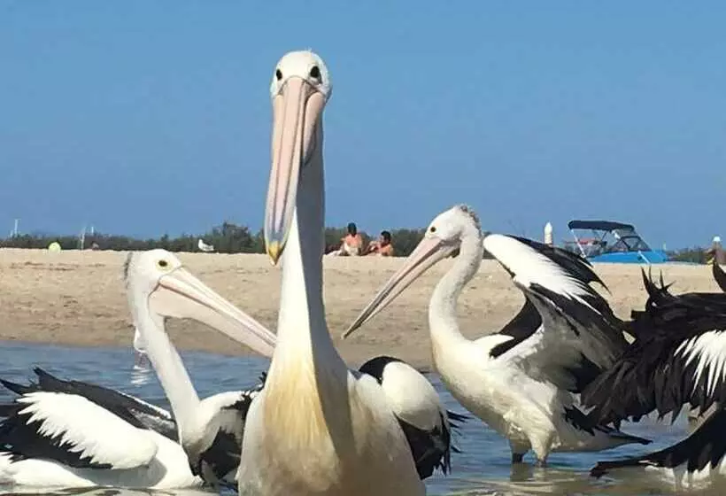 Отель Blue Waters Apartments