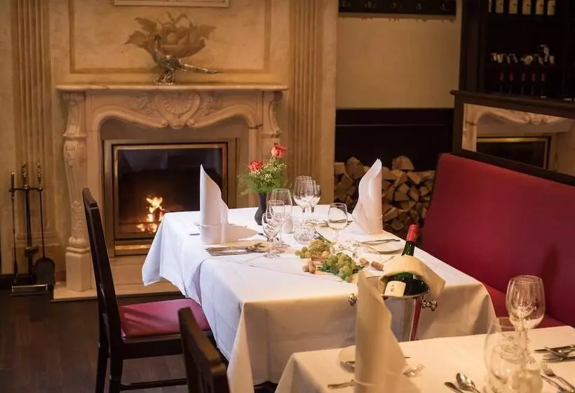 ホテル Goldener Lowe