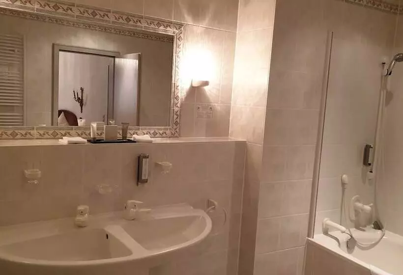 ホテル Goldener Lowe