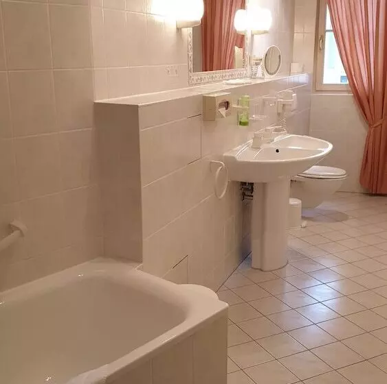 ホテル Goldener Lowe