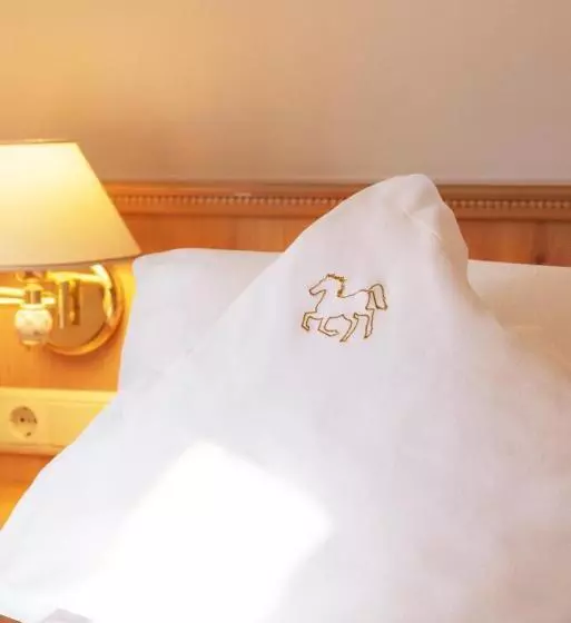 酒店 Goldenes Roessl Adults Only