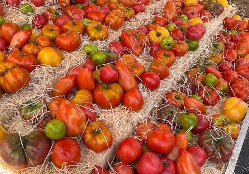 Отель Le Mediterranee