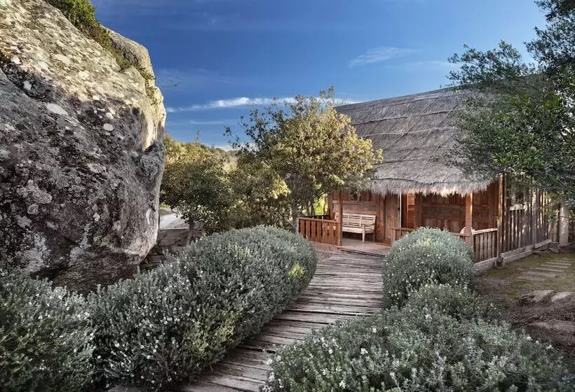 هتل Petra Segreta Resort & Spa