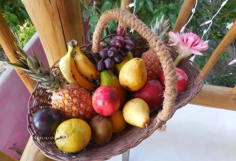 هتل Pousada Jardim Das Margaridas