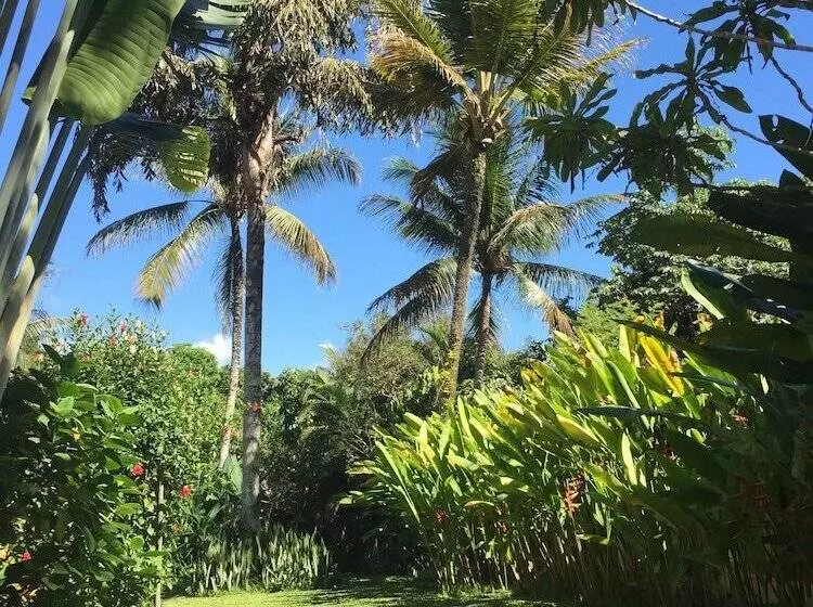 هتل Pousada Jardim Das Margaridas