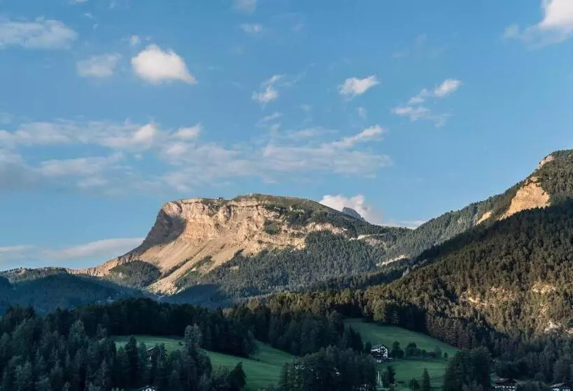 هتل Rainell Dolomites Retreat
